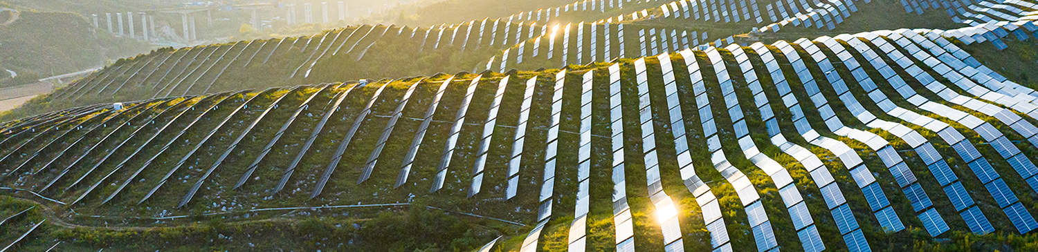 Sustainability video image 